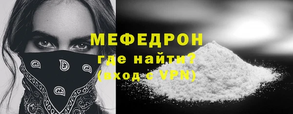 индика Арсеньев