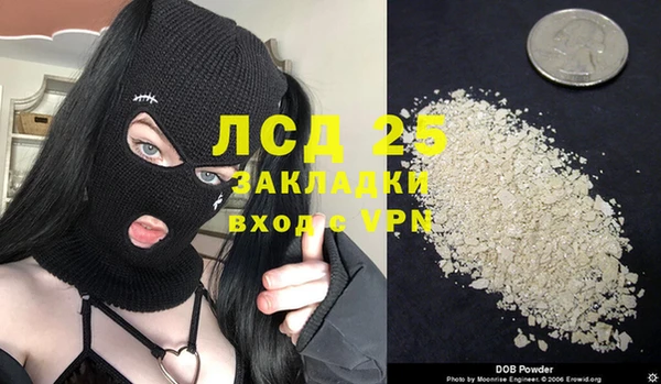 индика Арсеньев