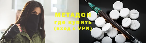 индика Арсеньев