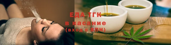 индика Арсеньев