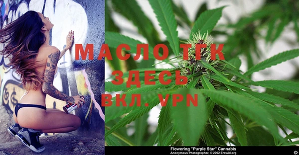 индика Арсеньев