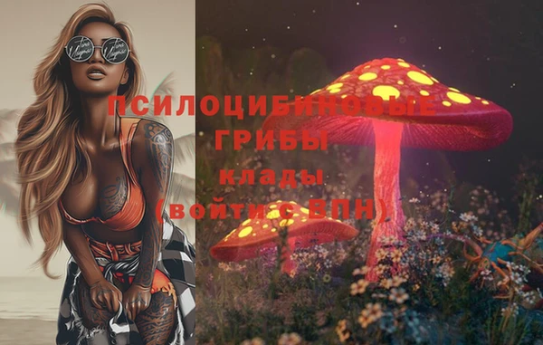 прущие крисы Аркадак