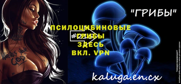 молекула духа Армянск