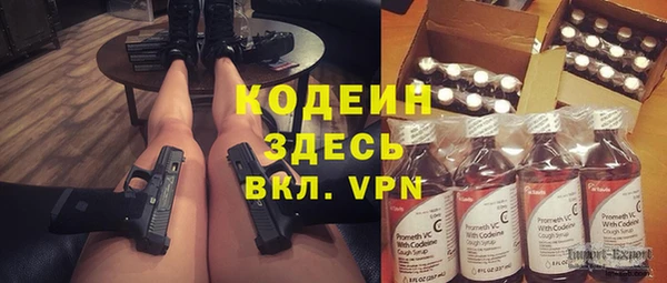 индика Арсеньев