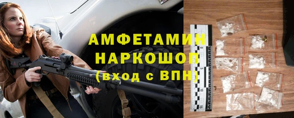 индика Арсеньев
