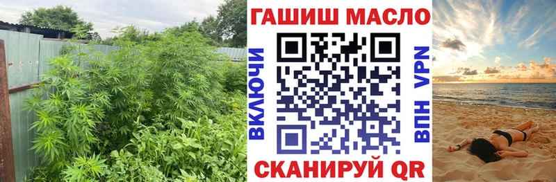 продажа наркотиков  Любань  Дистиллят ТГК THC oil 